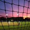Baseball Safety Netting