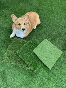 Fake Turf for Dogs